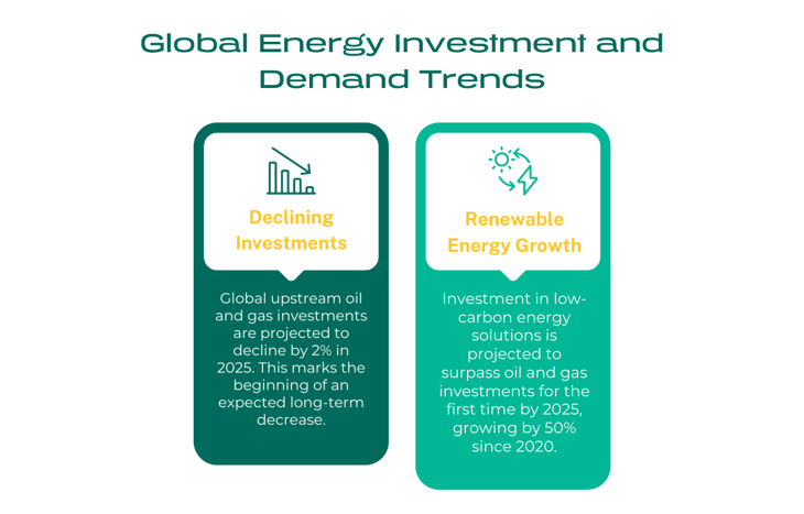 Global Energy Investment and Demand Trends